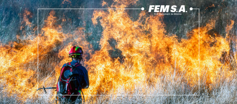 Incendios Forestales