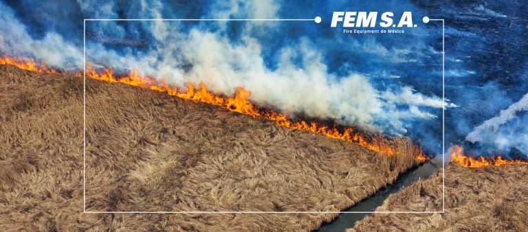 ¿Qué está haciendo California para reducir los riesgos de incendios forestales?
