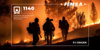 FEMSA News
