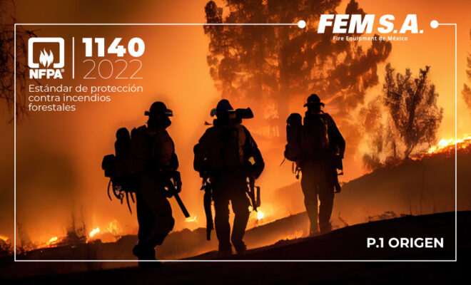 FEMSA News