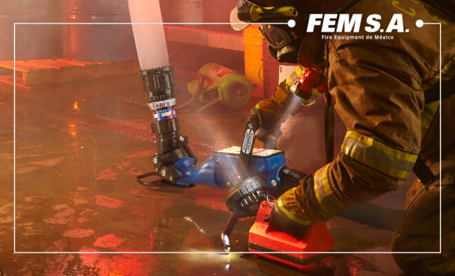 FEMSA News