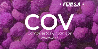 FEMSA News