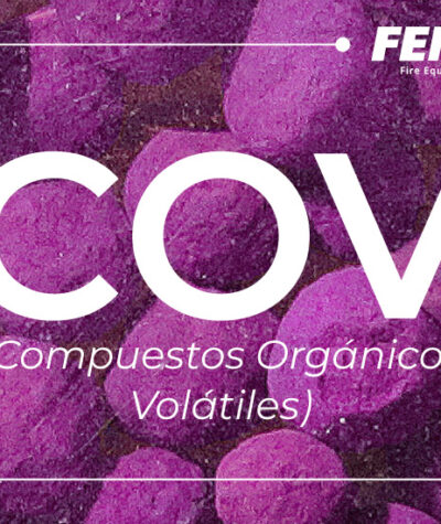 FEMSA News