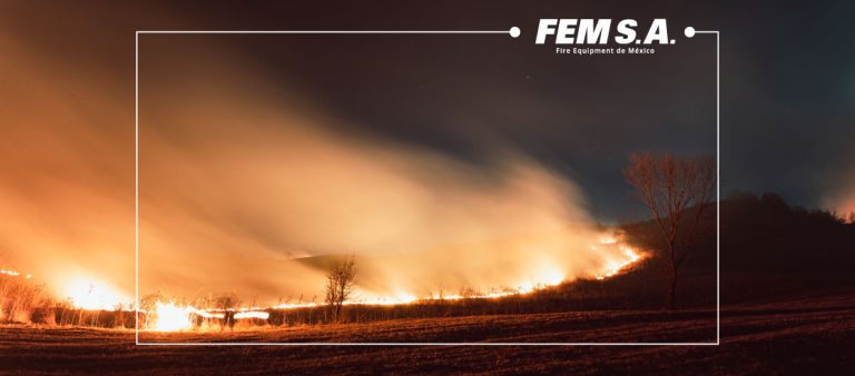 Análisis de los Incendios Forestales en México, marzo 2024