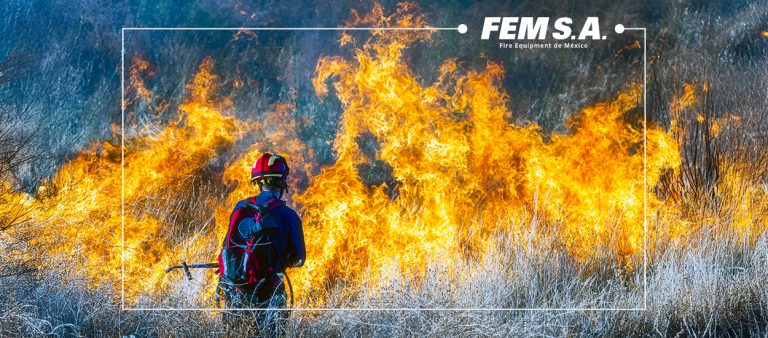 Análisis de Incendios Forestales en México 2024 y su Impacto en el Ecosistema