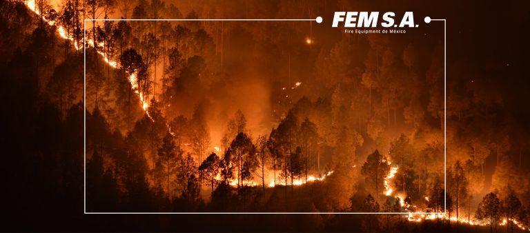 Incendios Forestales en Los Ángeles 2025: Crisis con Precedentes